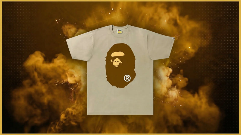Shirts (Seasonal Picks)