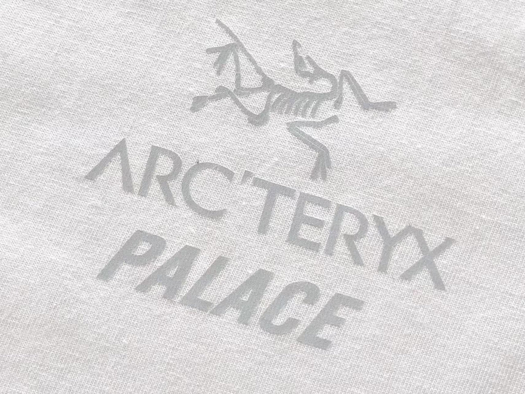Palace x Arc'teryx Tri-Ferg Graphic T-Shirt