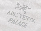 Palace x Arc'teryx Tri-Ferg Graphic T-Shirt