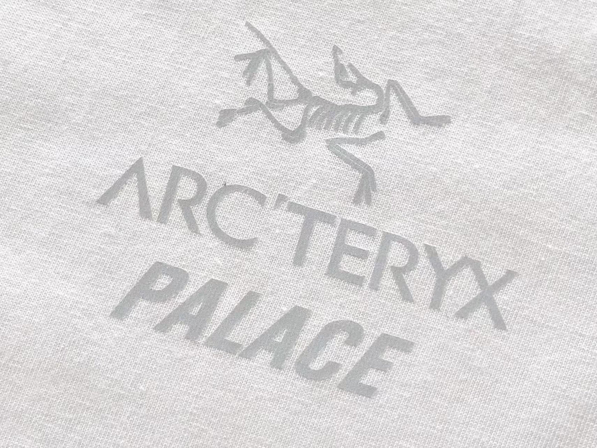 Palace x Arc'teryx Tri-Ferg Graphic T-Shirt