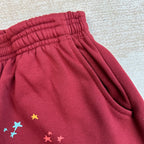 Sp5Der Logo Sweatpant Maroon