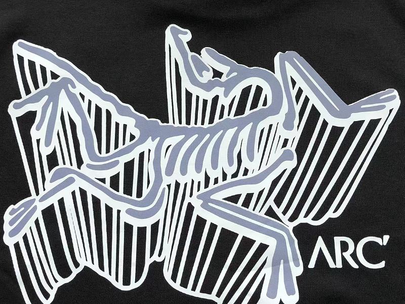 Arc'teryx Graphic Crewneck Sweater