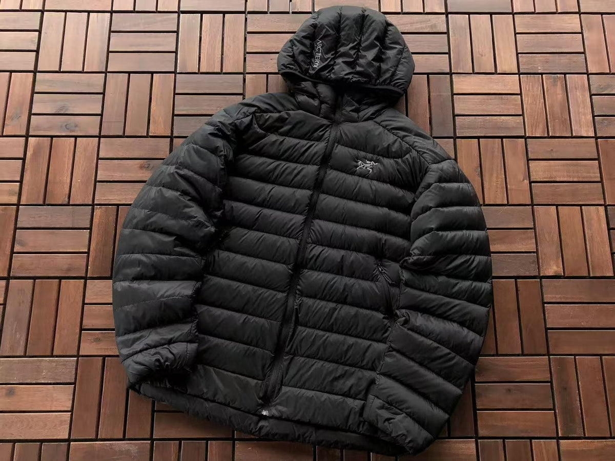 Arc'teryx Lightweight Hooded Down Jacket