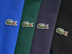 Lacoste Four-Color Logo Pullover Hoodie