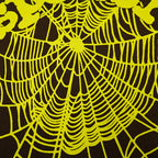 Sp5Der Og Web Tee