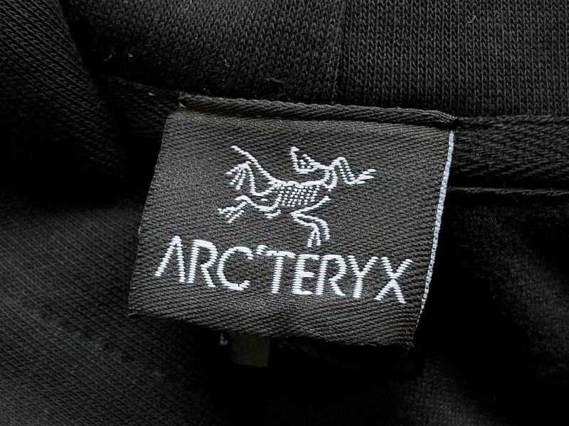 Arc'teryx Graphic Pullover Hoodie