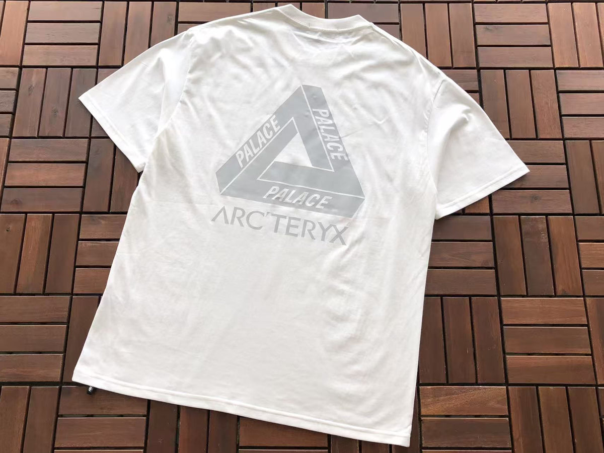 Palace x Arc'teryx Tri-Ferg Graphic T-Shirt