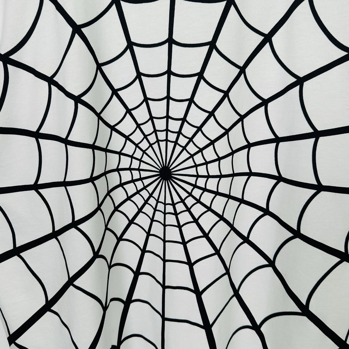 Supreme Spiderweb Graphic T-Shirt