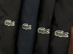 Lacoste Four-Color Logo Stripe Tracksuit Set