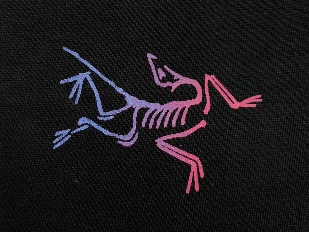 Arc'teryx Gradient Fossil Graphic Long-Sleeve Shirt