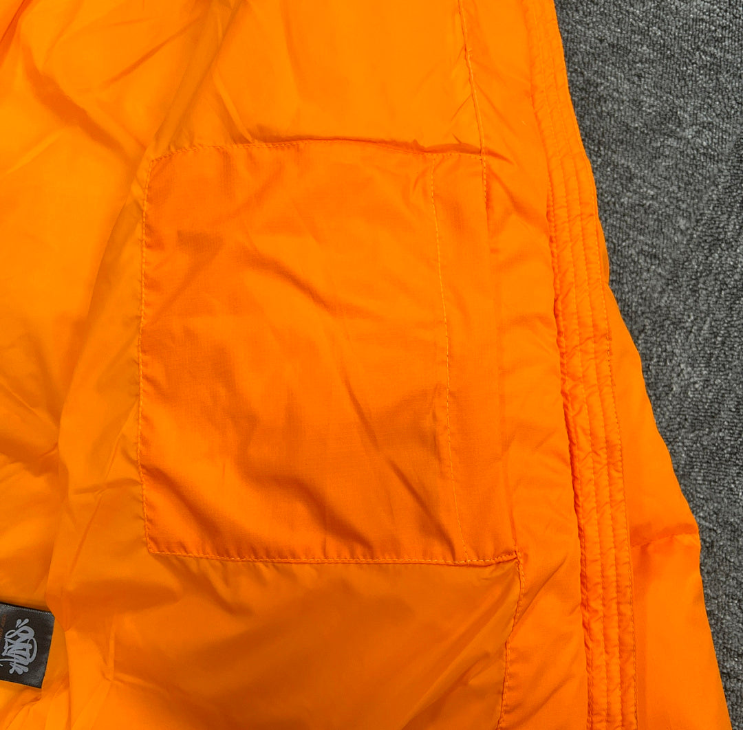 SynaWorld Hoodie 11