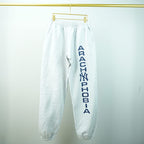Sp5Der Arach Ny Phobia Sweatpants Ash Grey