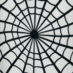 Supreme Spiderweb Graphic T-Shirt