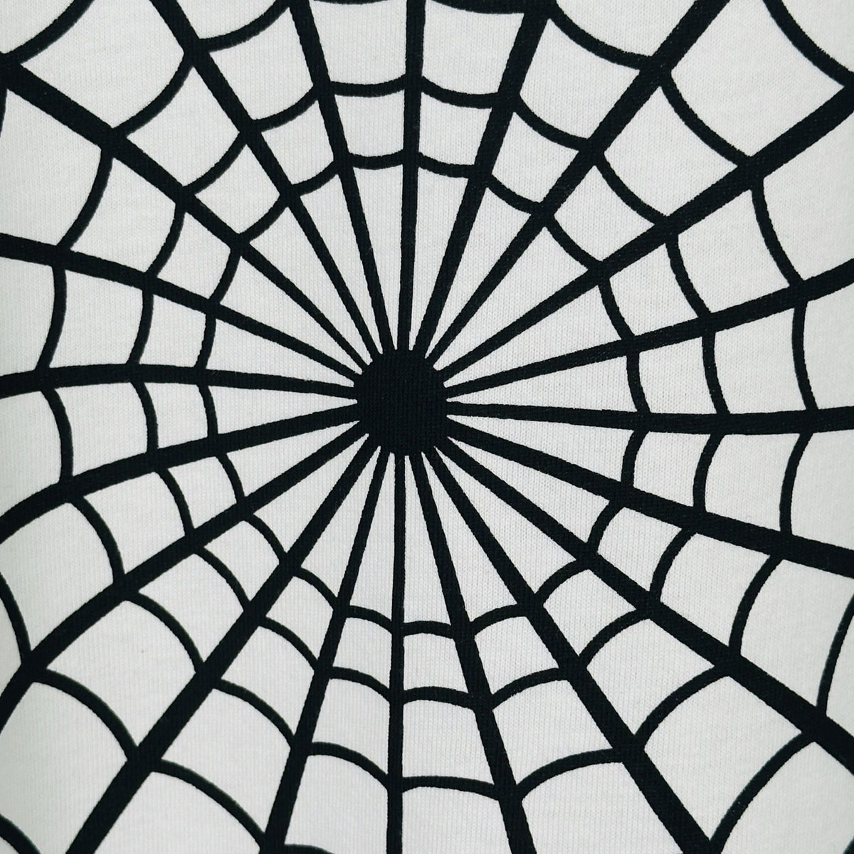 Supreme Spiderweb Graphic T-Shirt