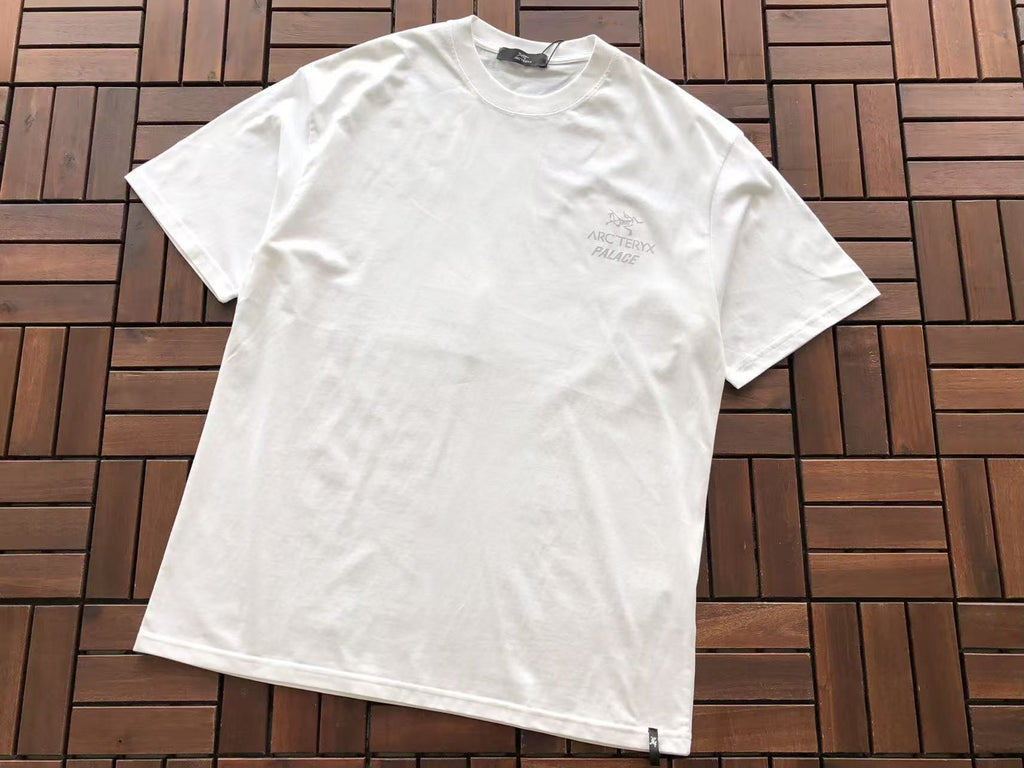 Palace x Arc'teryx Tri-Ferg Graphic T-Shirt