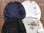 Arc'teryx Academy Graphic Crewneck Sweater
