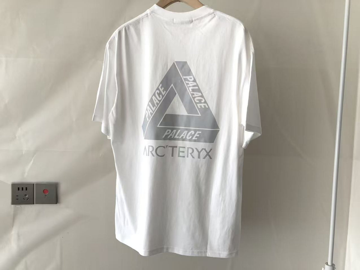 Palace x Arc'teryx Tri-Ferg Graphic T-Shirt