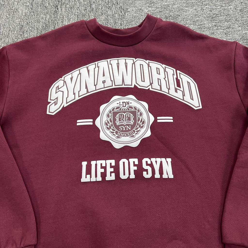 SynaWorld Set 9