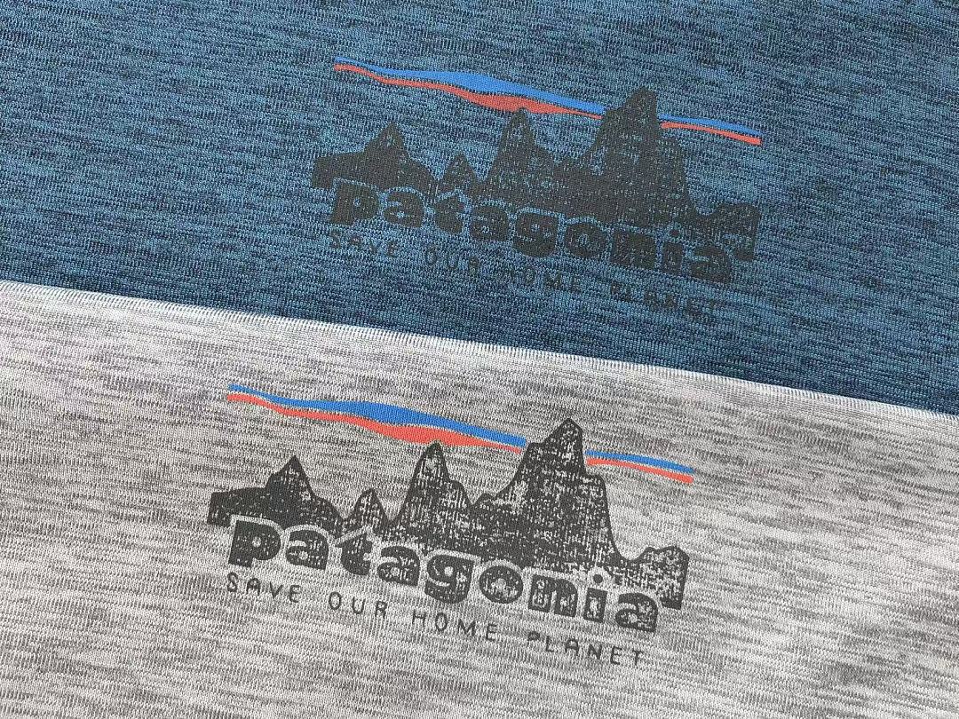 Multicolor Landscape Logo Patagonia T-Shirt