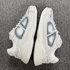 Dior B30 Sneaker — Light Grey Silver