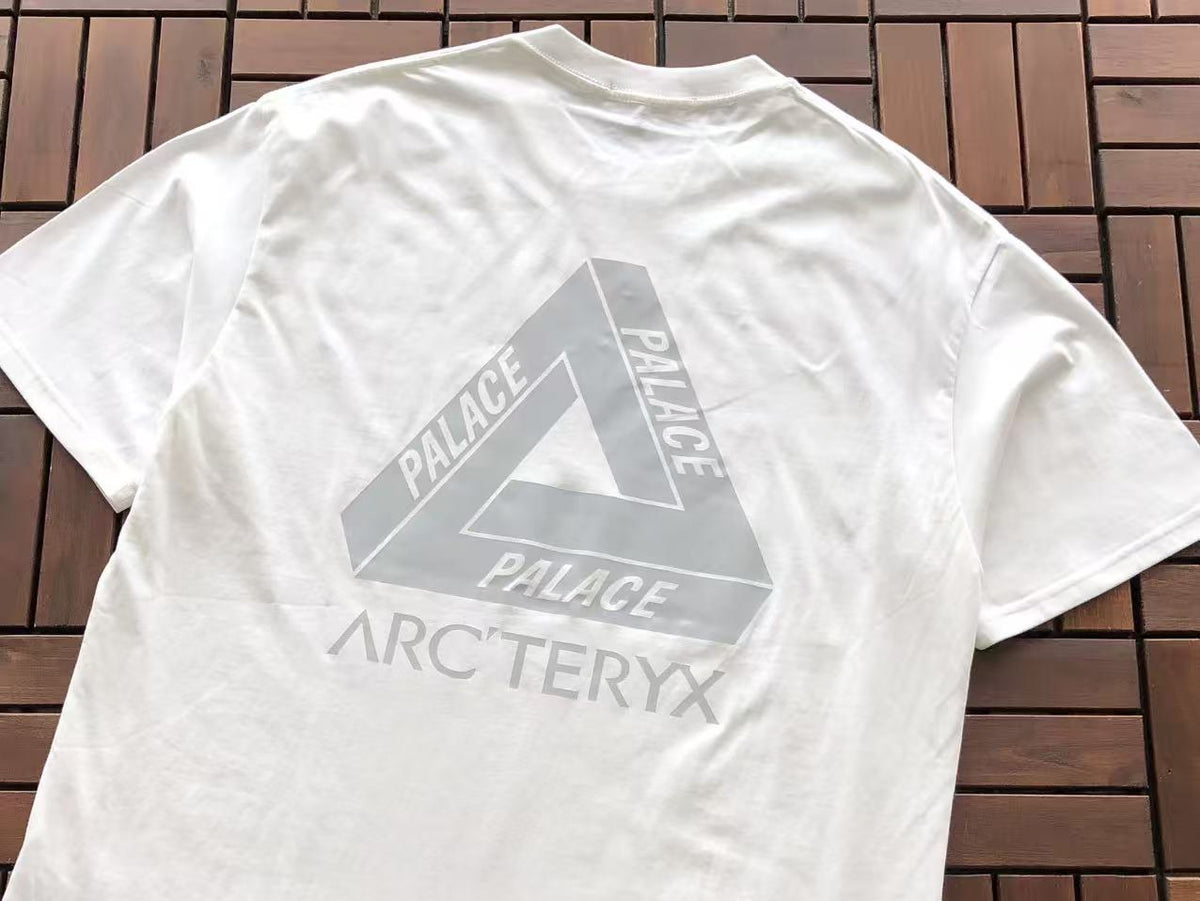 Palace x Arc'teryx Tri-Ferg Graphic T-Shirt