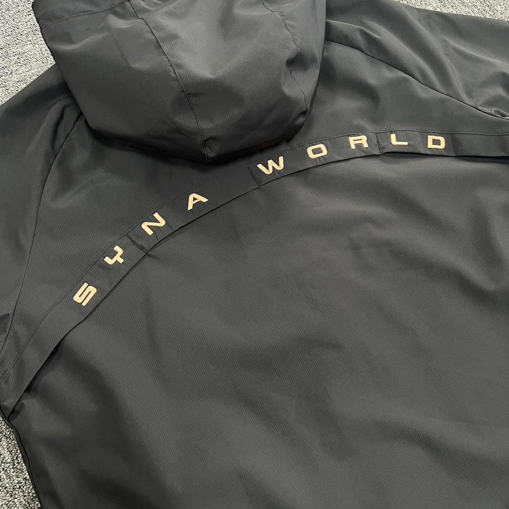 SynaWorld Hoodie