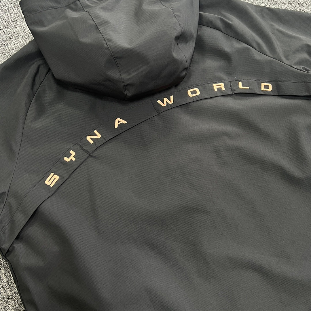 SynaWorld Hoodie