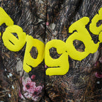 Sp5der Real Tree OG Web Sweatpants Camo
