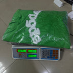 Sp5Der Web Hoodie Green