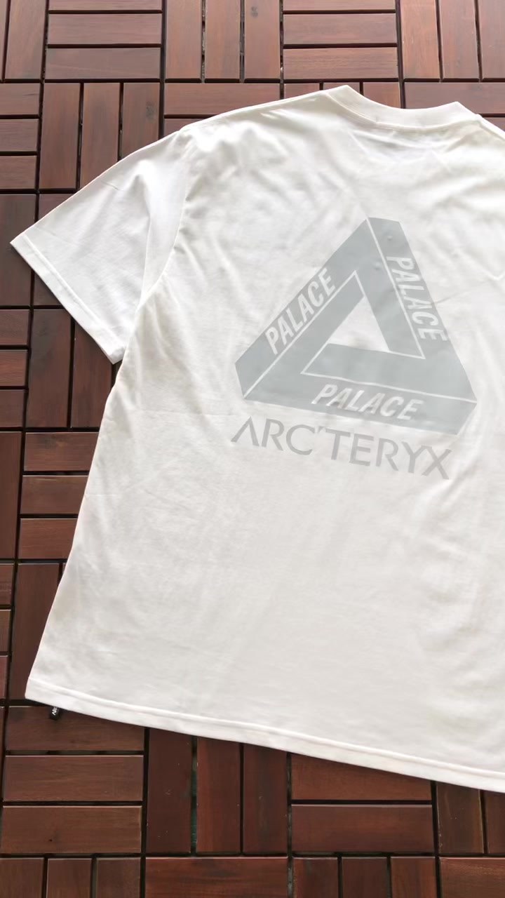 Palace x Arc'teryx Tri-Ferg Graphic T-Shirt