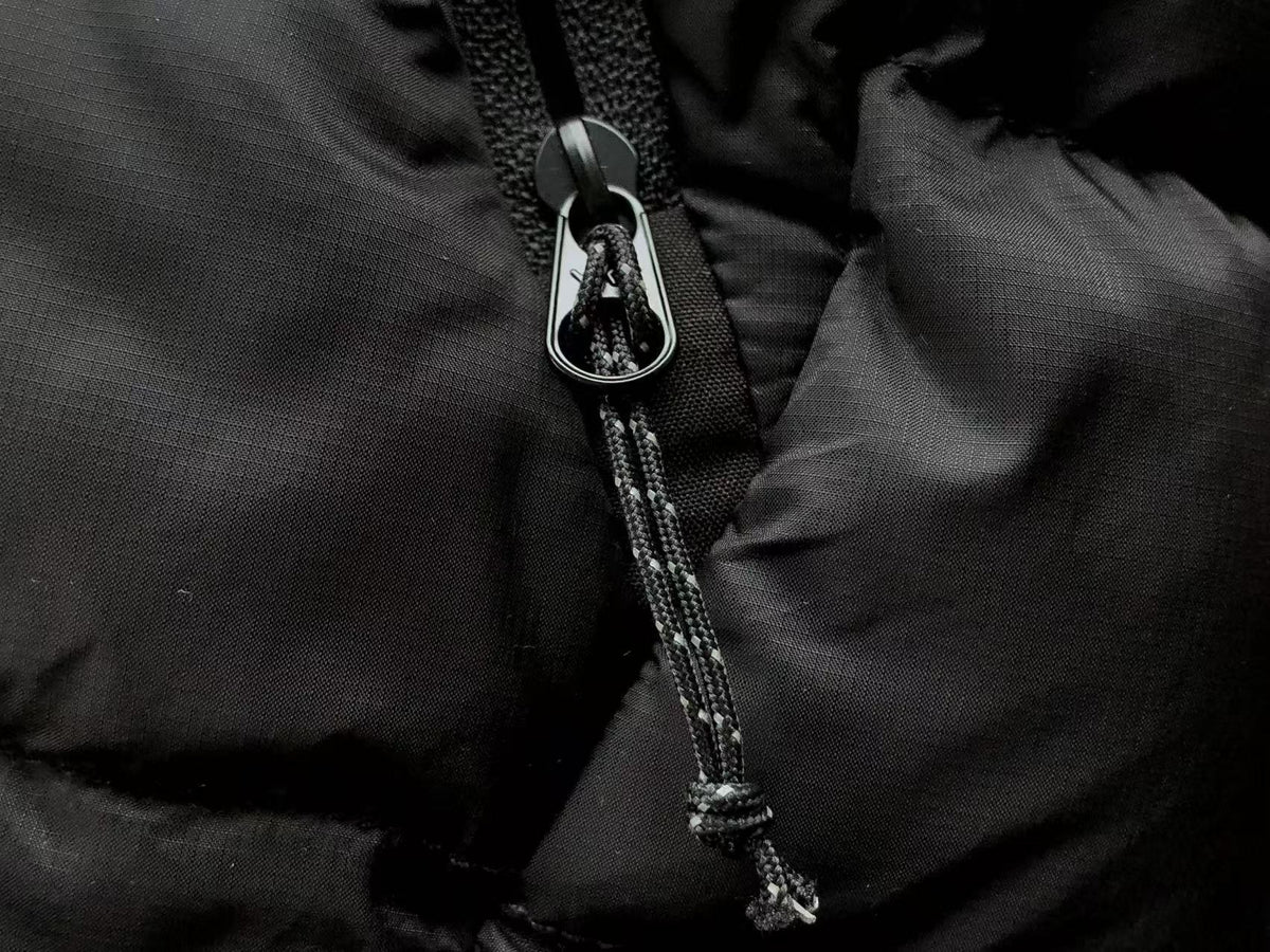 Arc'teryx Lightweight Hooded Down Jacket