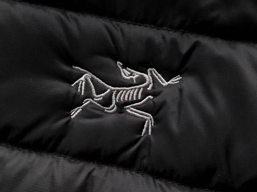 Arc'teryx Lightweight Hooded Down Jacket
