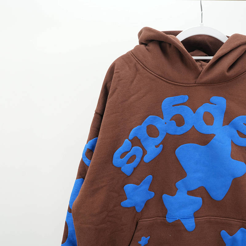 Sp5Der Beluga Hoodie Brown