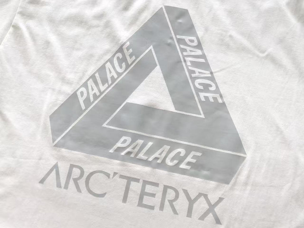 Palace x Arc'teryx Tri-Ferg Graphic T-Shirt