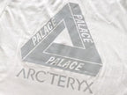 Palace x Arc'teryx Tri-Ferg Graphic T-Shirt