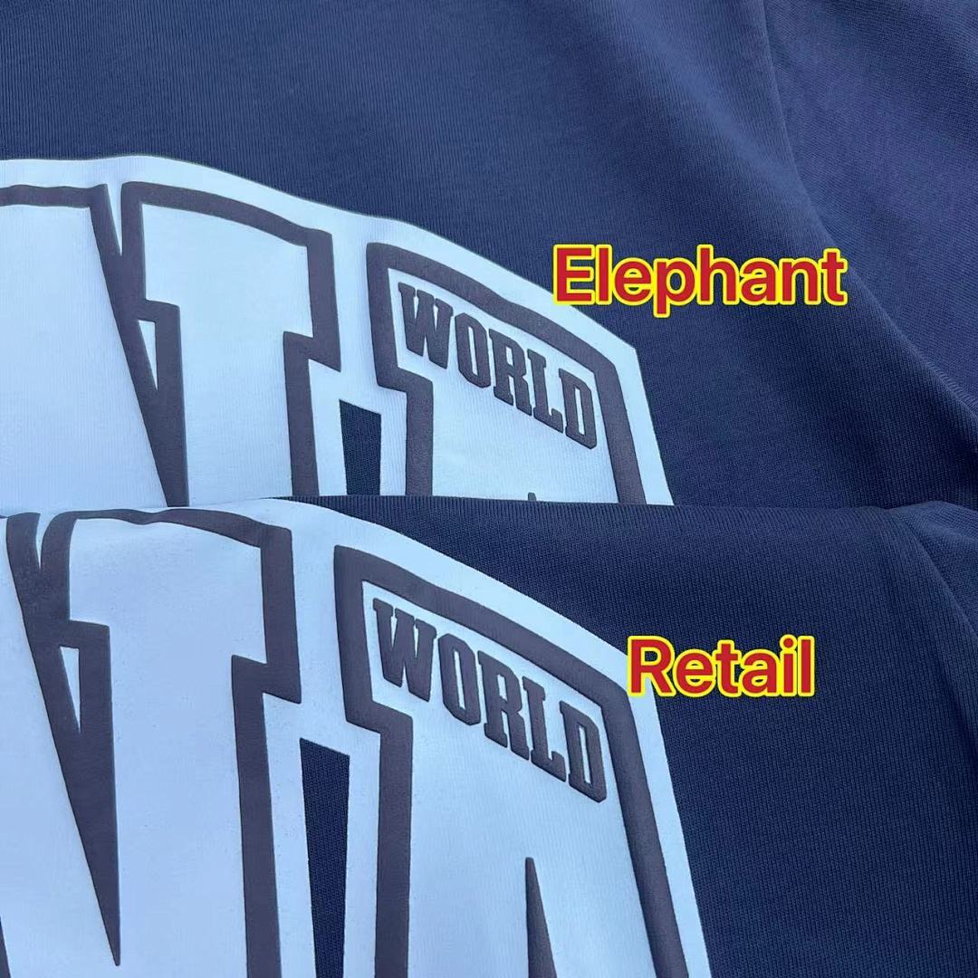 SynaWorld Set 6