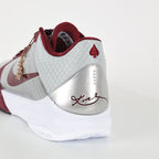 Nike Hyperdunk 2015 - Team Crimson/Metallic Silver