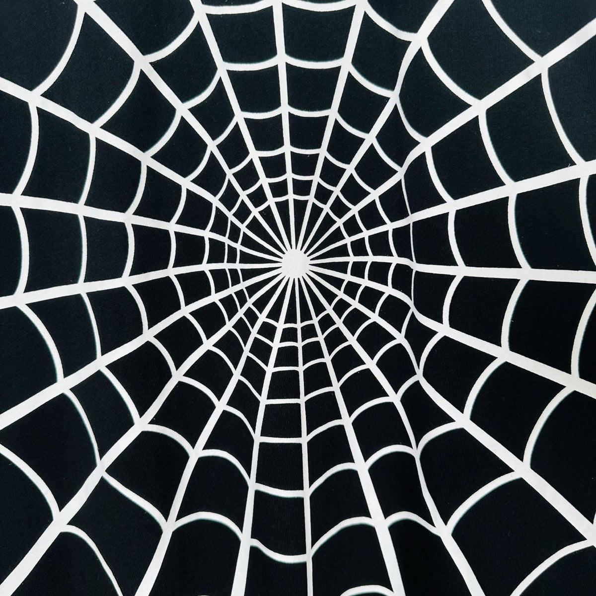 Supreme Spiderweb Graphic T-Shirt