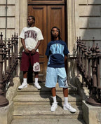 SynaWorld Set 6