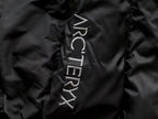 Arc'teryx Lightweight Hooded Down Jacket